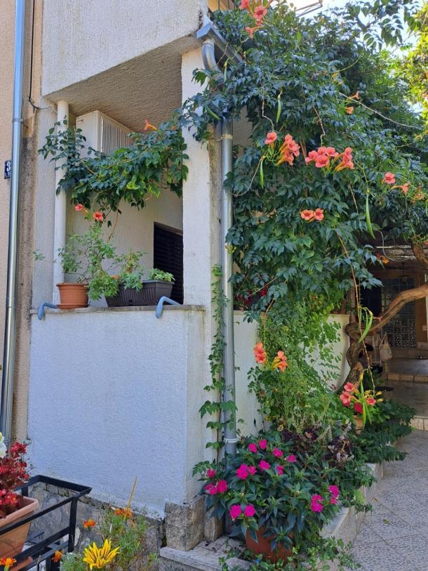 Accomodation Mirjana Rooms 포레치 외부 사진